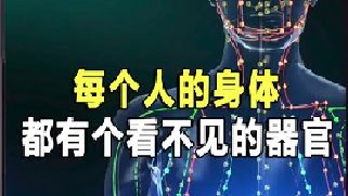 我们的身体里，竟有一个看不见的“器官”，就连西医也无法找到
