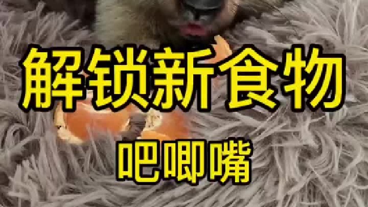 真的是不挑食额，啥都吃，你们还想看拆拆吃什么？