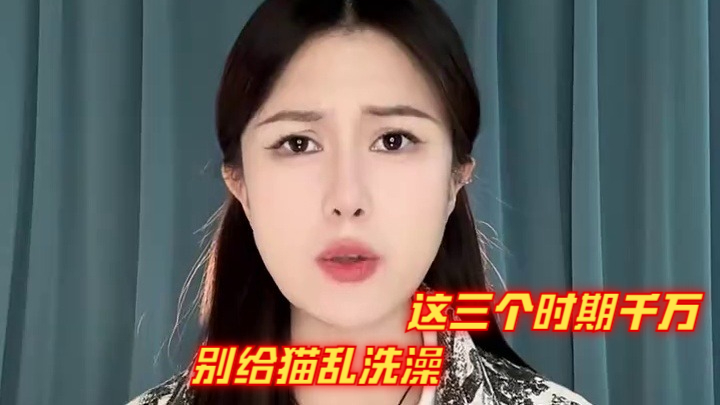 这三个时期千万别给猫乱洗澡