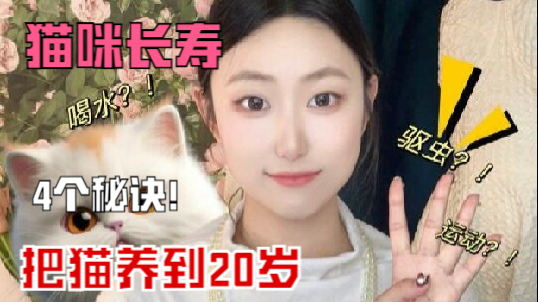 猫咪长寿秘籍大公开