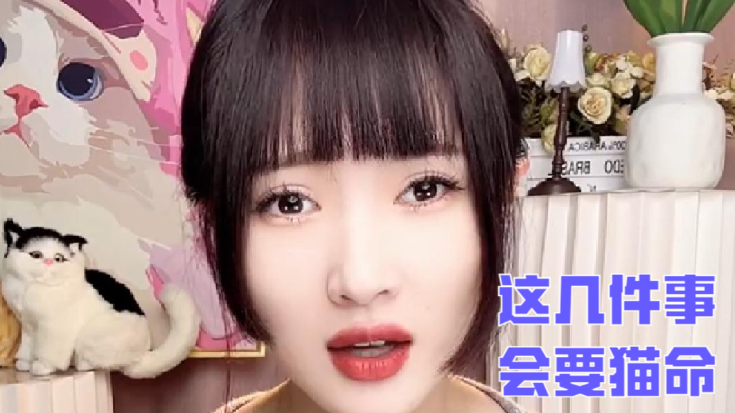 这几件事真的会要猫命