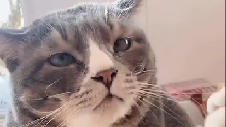 哈哈哈哈哈二十斤的反骨