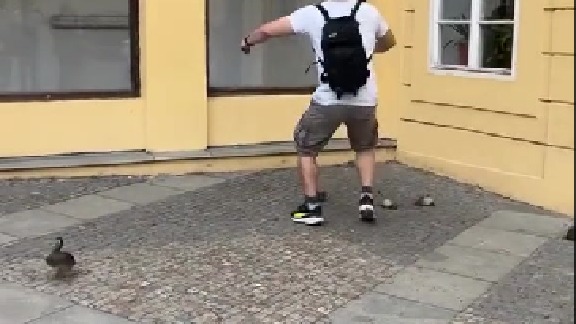 鸭妈妈：没事的跟上