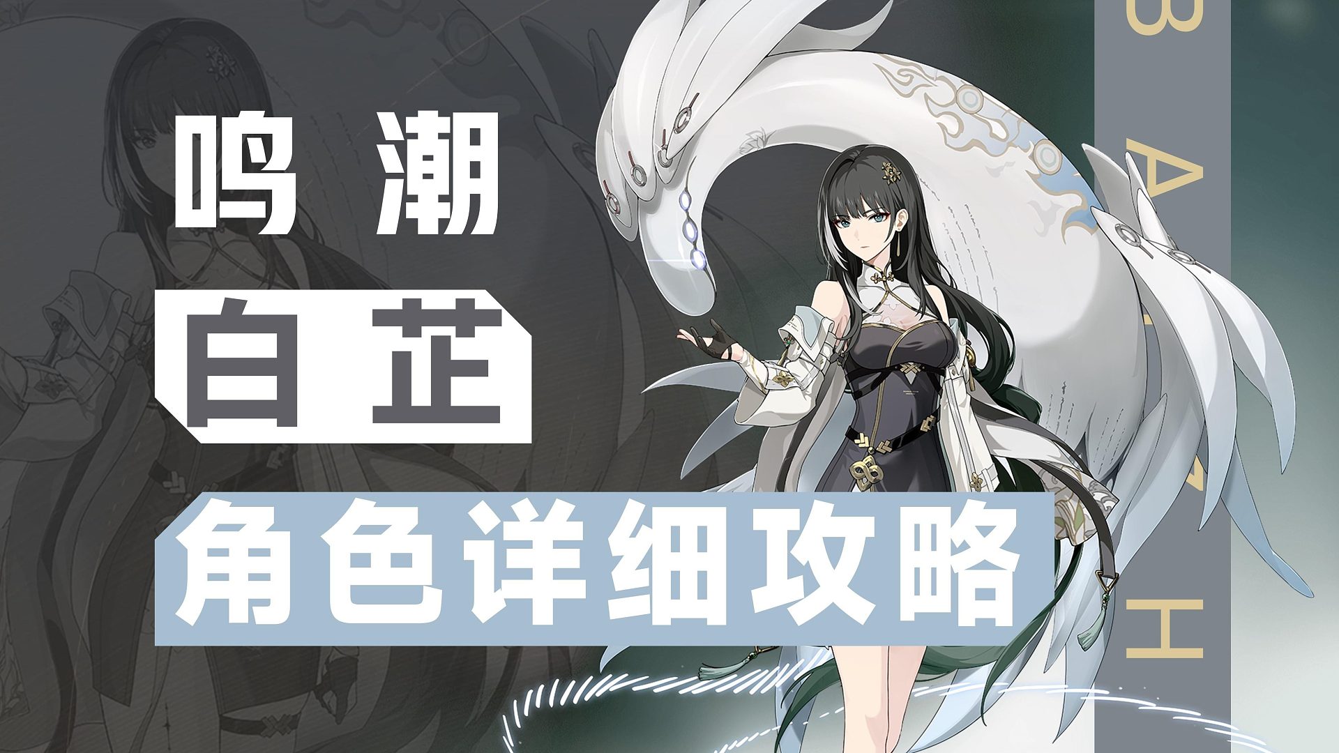 【鸣潮】摸腿妹白芷，角色详细攻略