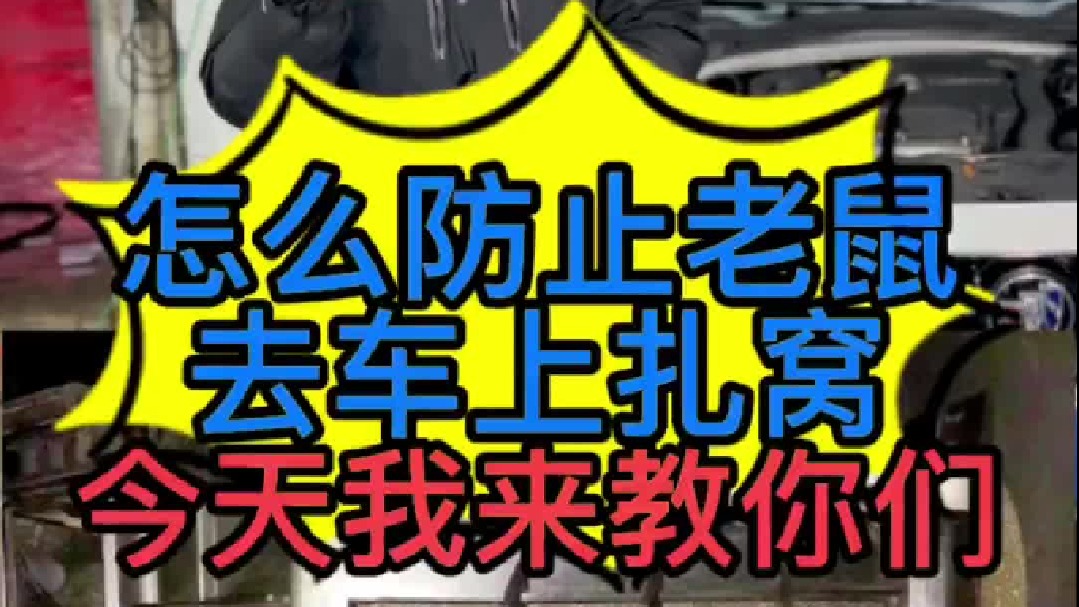 怎么防止老鼠去车上扎窝 ？