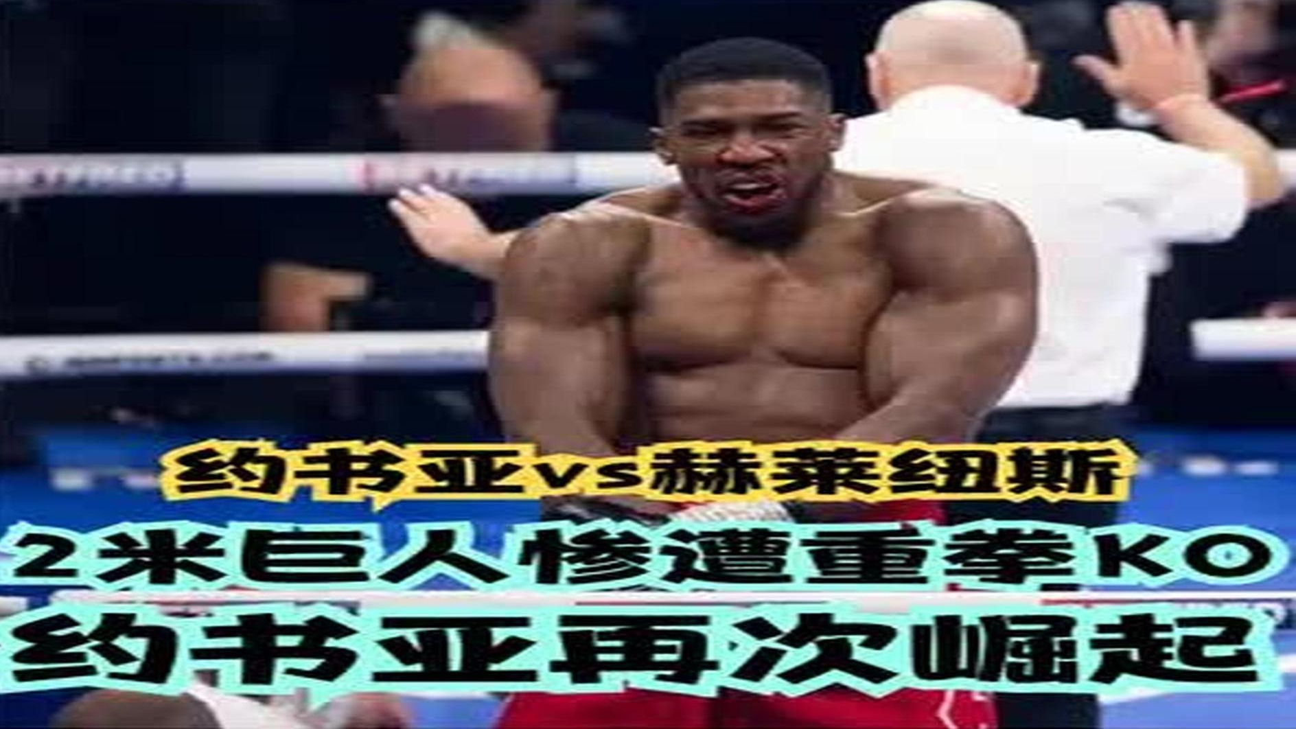 2米巨人惨遭重拳KO！约书亚再次崛起！约书亚vs赫莱纽斯 (1)