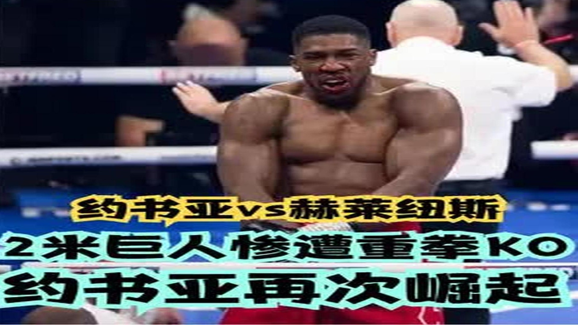 2米巨人惨遭重拳KO！约书亚再次崛起！约书亚vs赫莱纽斯 (2)