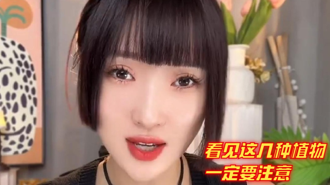 看到这几种植物一定要注意