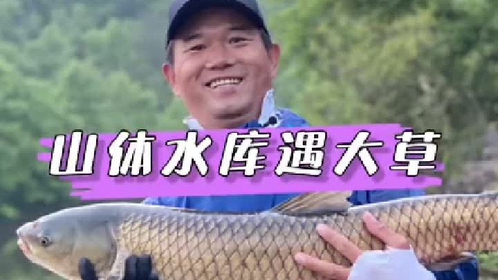 惊喜来的很突然，山体水库偶遇大草鱼。