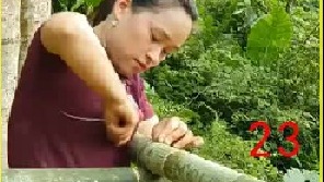 搭建空中蔬菜 培育空中蘑菇跟竹筒里的蔬菜