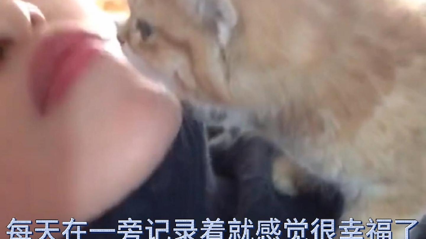 每天在一旁记录着就感觉很幸福了