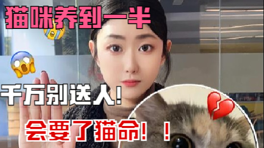 请珍惜你的猫咪切勿轻易送人