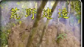 这么隐蔽又安详的庇护所你一定没有见过，即使敌人路过也不会轻易发现