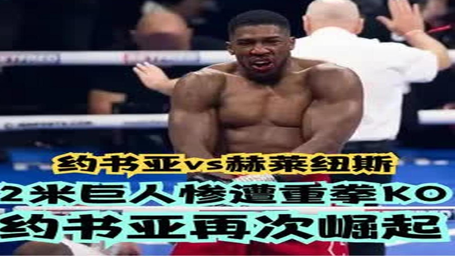 2米巨人惨遭重拳KO！约书亚再次崛起！约书亚vs赫莱纽斯 (5)