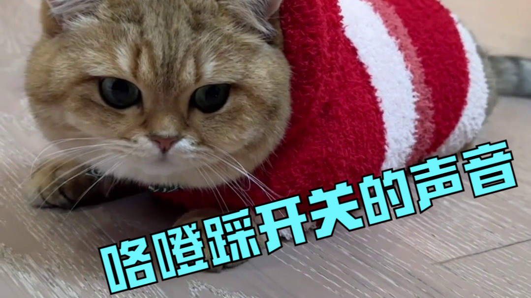 咯噔踩奶的开关除了妈妈的声音 又多了一个懂吧