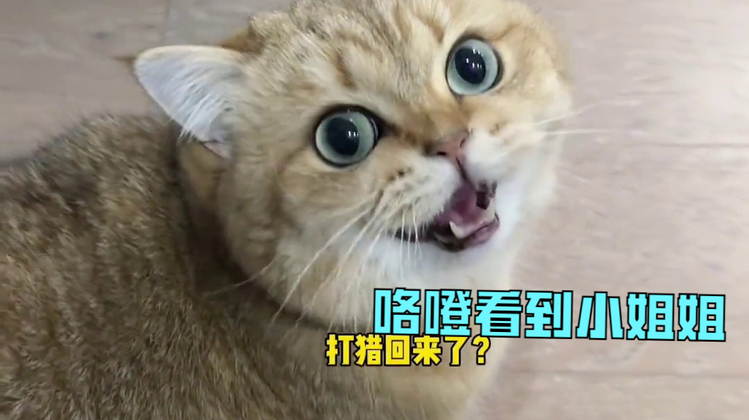 咯噔该不会知道小姐姐是考验他来的吧