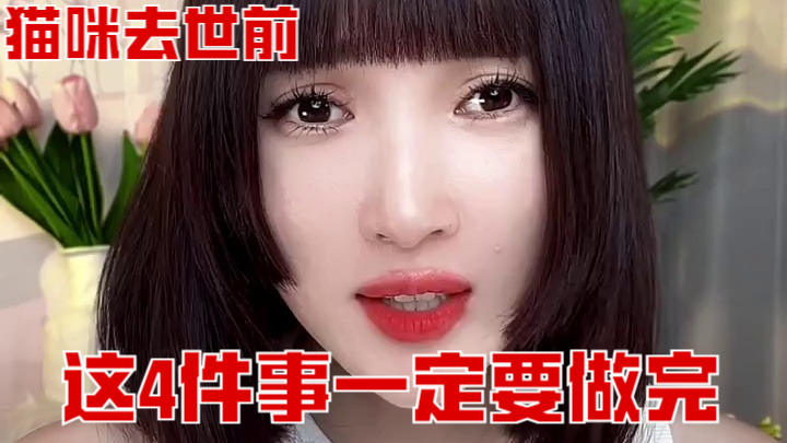 ️猫咪去世前，这4件事一定要做完