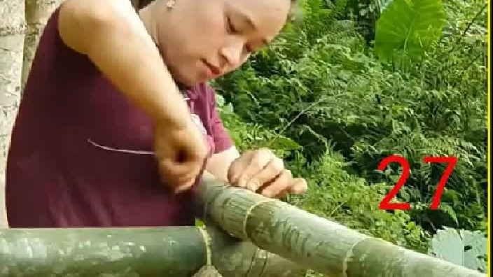 荒野建造：女人收获翠绿甘蔗   实现经济自由