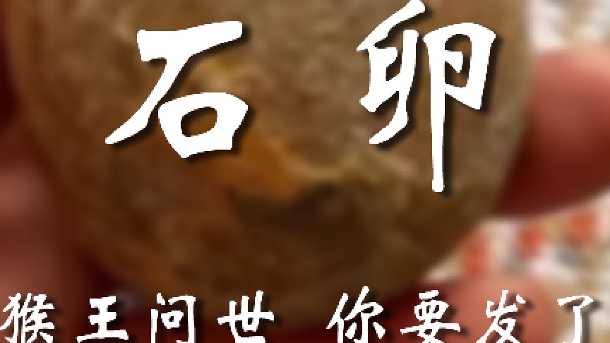 确实见过啊，在电视里见的