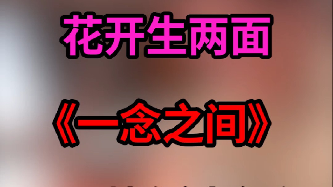 料随主便！！这一念之间的起货太惊艳了