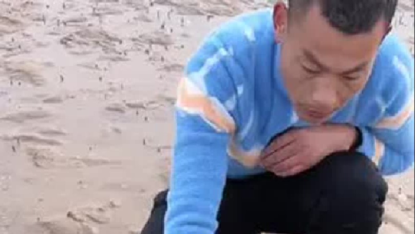 春天就要出去野