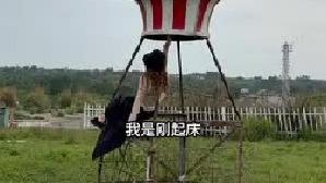 掉落荒野的第三天就实现了鲜花自由