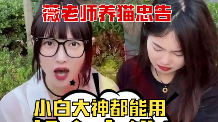 薇老师养猫忠告️ 新手养猫，这些部位千万别碰