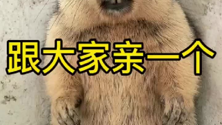 初吻已经给你们了，点个赞不过分吧！