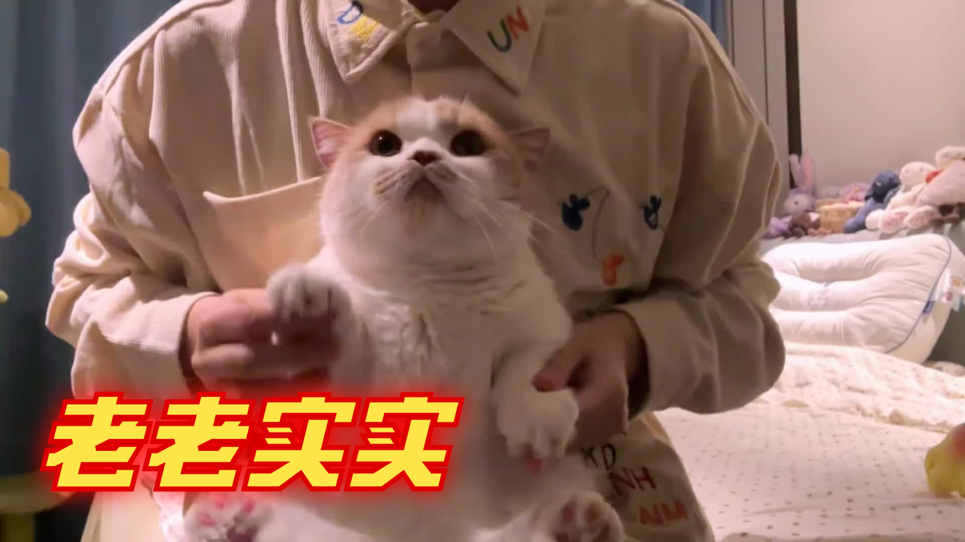 这玩意能预防老年痴呆吗