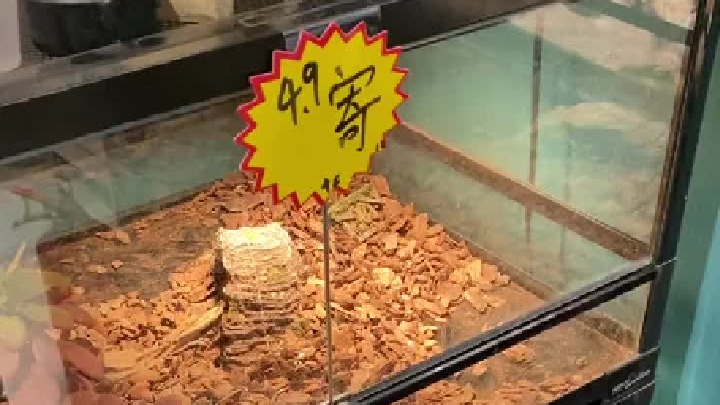 不知道怎么回事的记得回刷哟