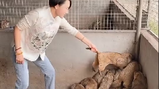 扎堆容易窒息，所以要扒开