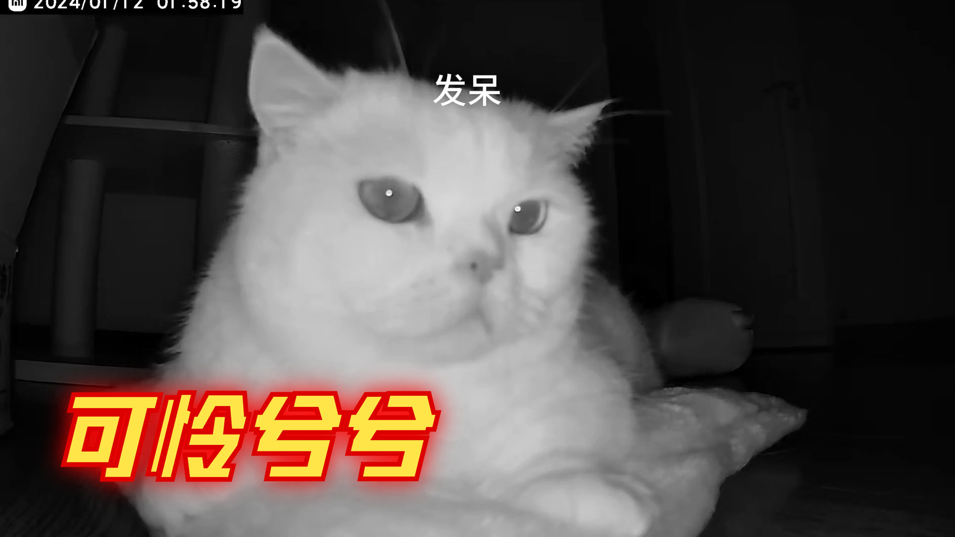 它真的好像一个小孩