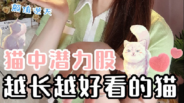 猫中潜力股越长越好看的猫