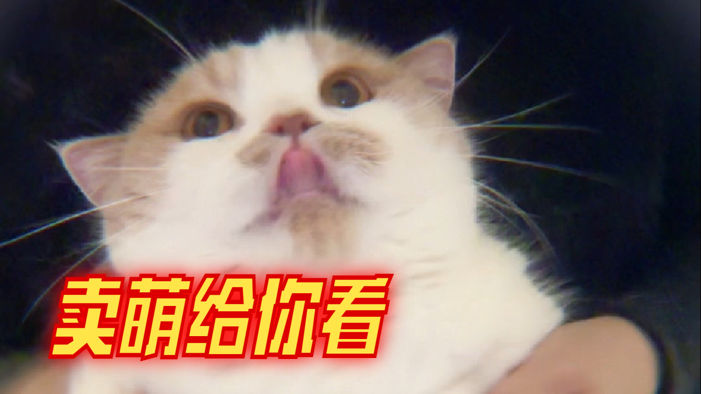 姨姨们不给开门我就一直跳