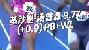 偷哈哥一段翻译