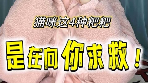 猫咪拉出这4种粑粑，是在想你求救