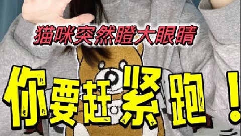 猫咪眼睛突然变大，一定要当心