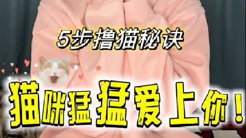 天呐摸了猫咪这几个部位后，我家猫疯了