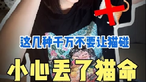 家里有猫的注意了，这些东西千万别碰