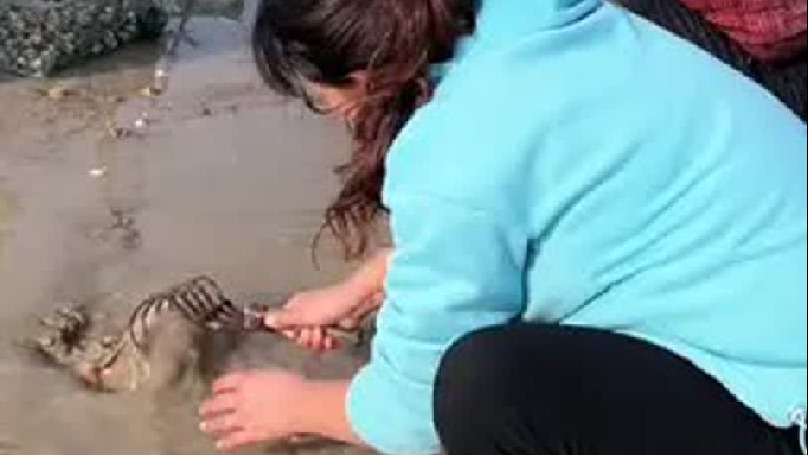 又是收获满满的一天