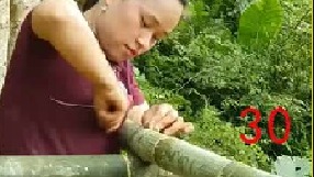 收获翠绿的李子带到集市上售卖