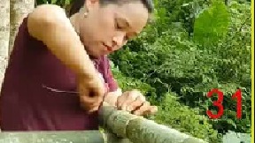 饲养家禽，收获南瓜跟南瓜花