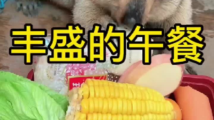 给这么丰盛的午餐，都不让摸一下，这丧良心的。