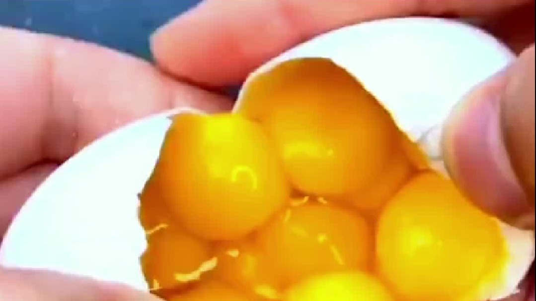 鸡蛋的100种吃法，你会几个？