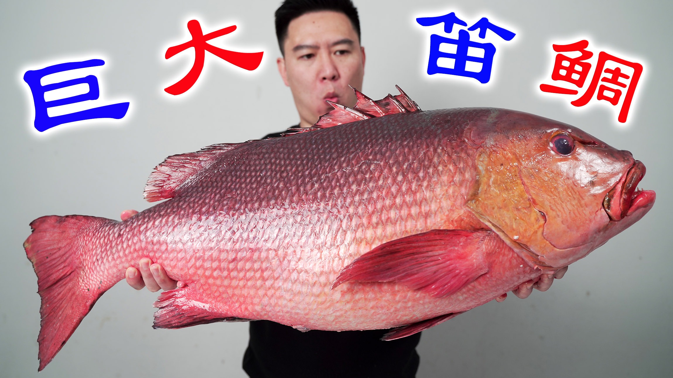 几十斤的巨大海货喂猪了，不仅被骗，而且还严重翻车