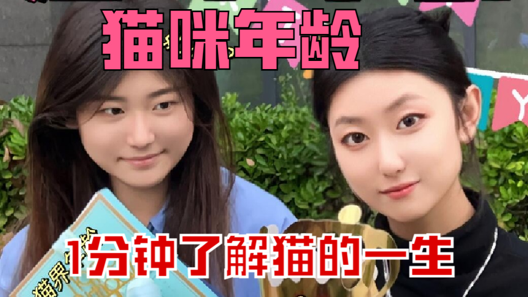 一分钟带你速览喵星人的一生旅程