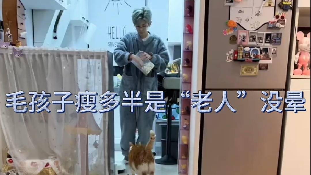 毛孩子瘦多半是“老人”没晕