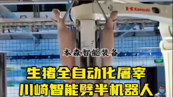 生猪全自动化屠宰川崎智能劈半机器人