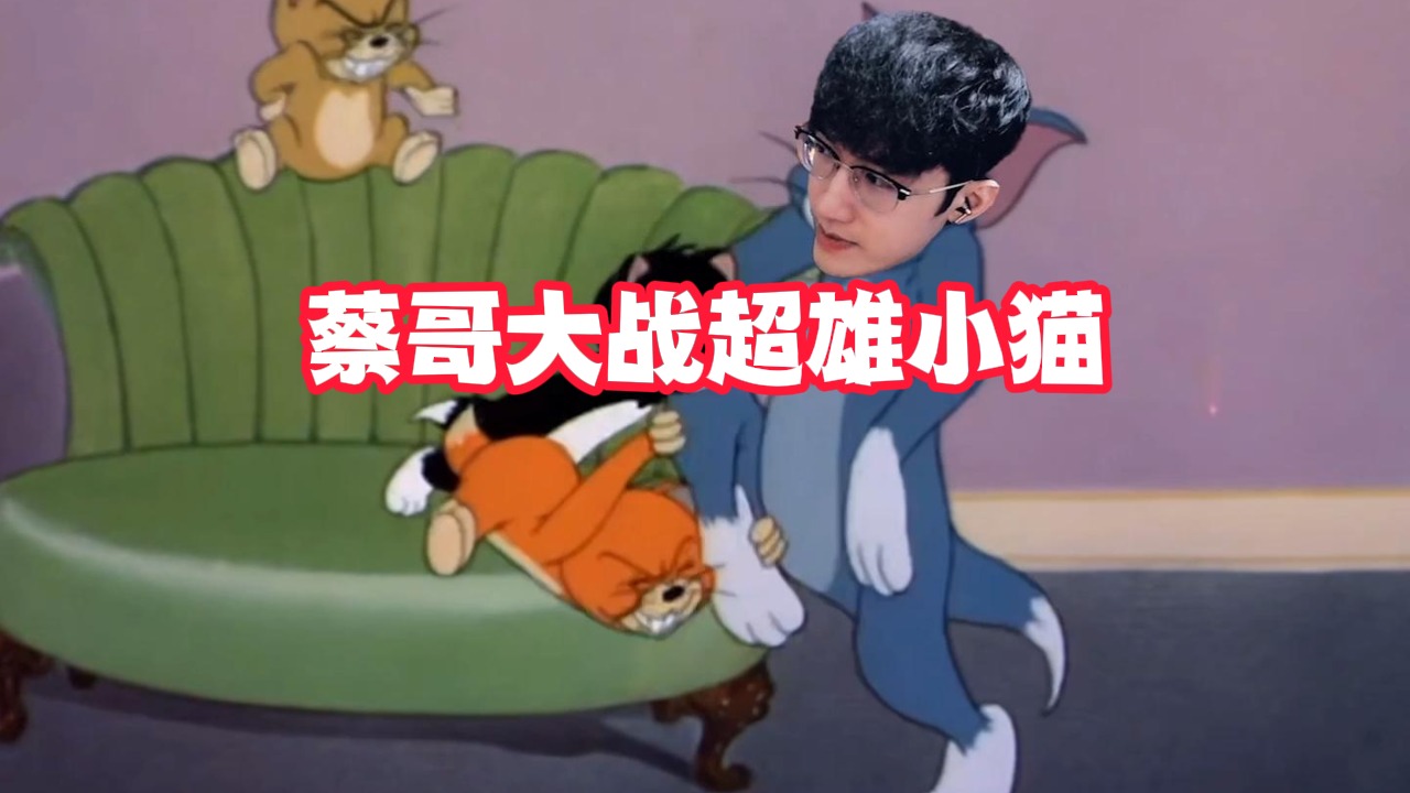 蔡哥大战超雄小猫