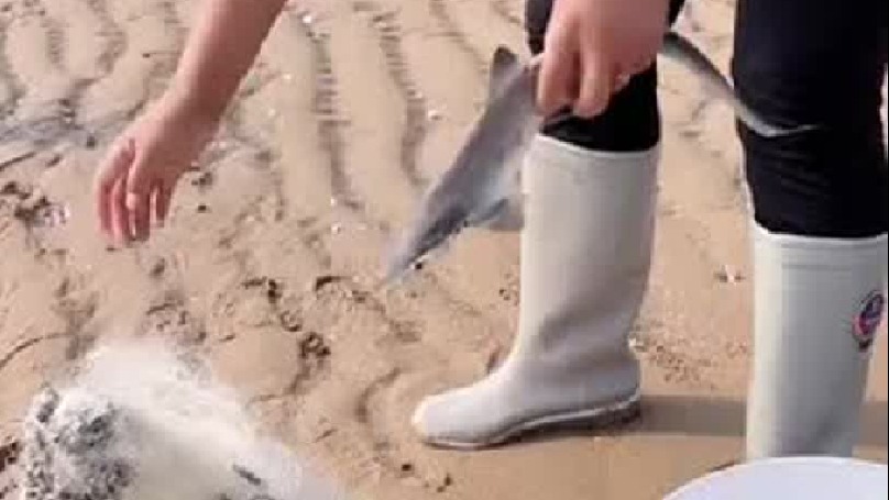 春天就要出去野